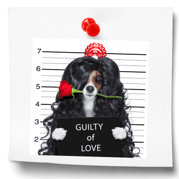 Despedidas 1 Despedidas en Fuengirola